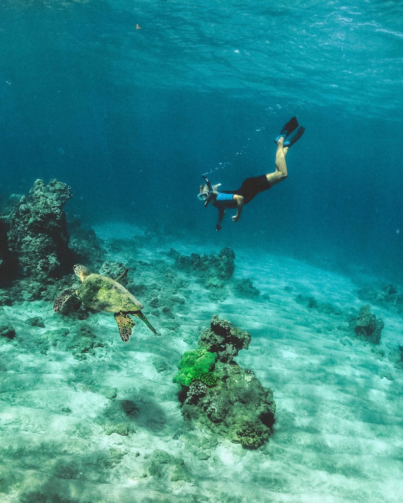 Snorkeler under water with turtle in Amed